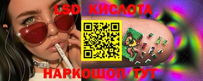 спиды Камышлов