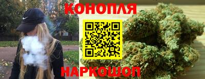 спиды Камышлов